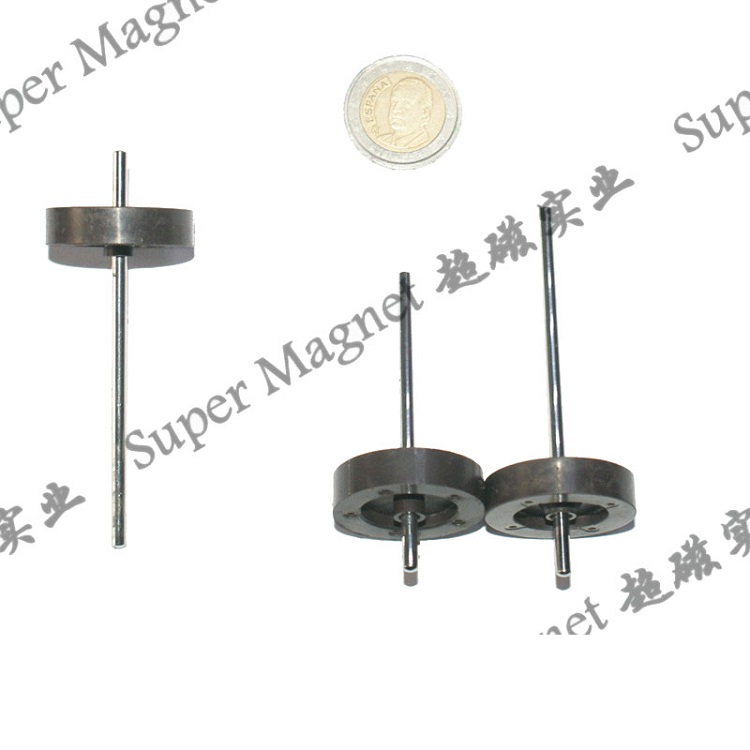 AIR 30*8mm  Multipole ring injection magnets 8 poles www.spmagnet.com