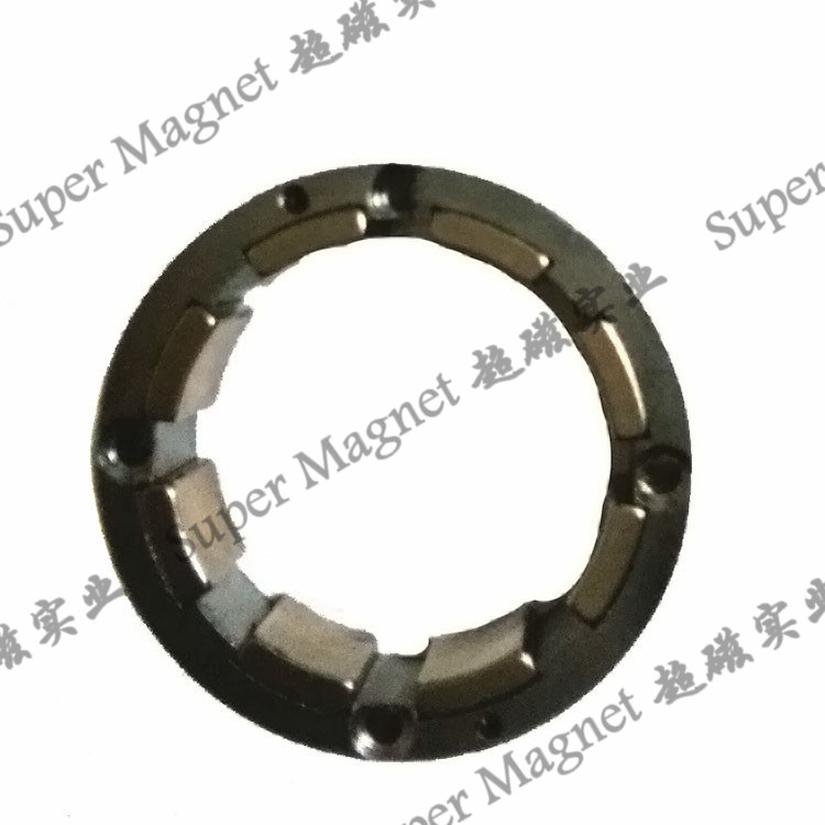 AND49.2*11.94mm  Sintered NdFeB magnetic rotor with 8 segments