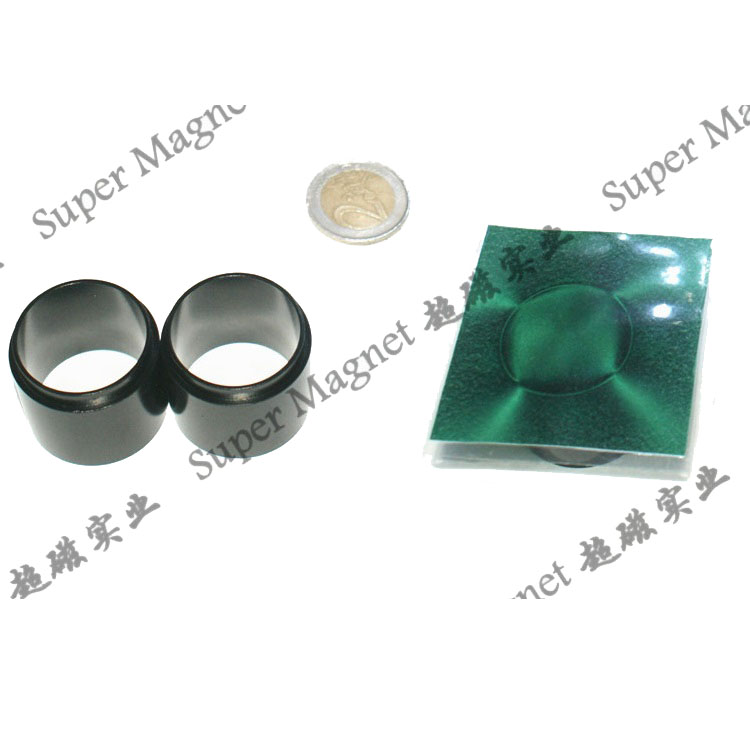 compression bonded ndfeb magnets 模压钕铁硼